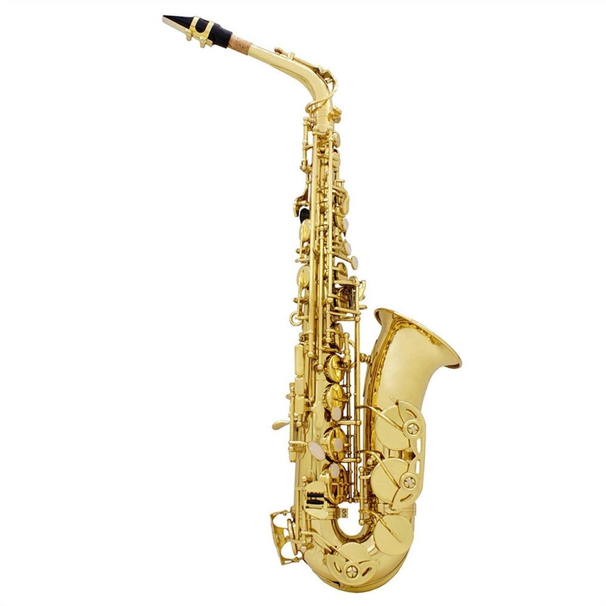 Golden E Flat Alto Saxophone Set U335980