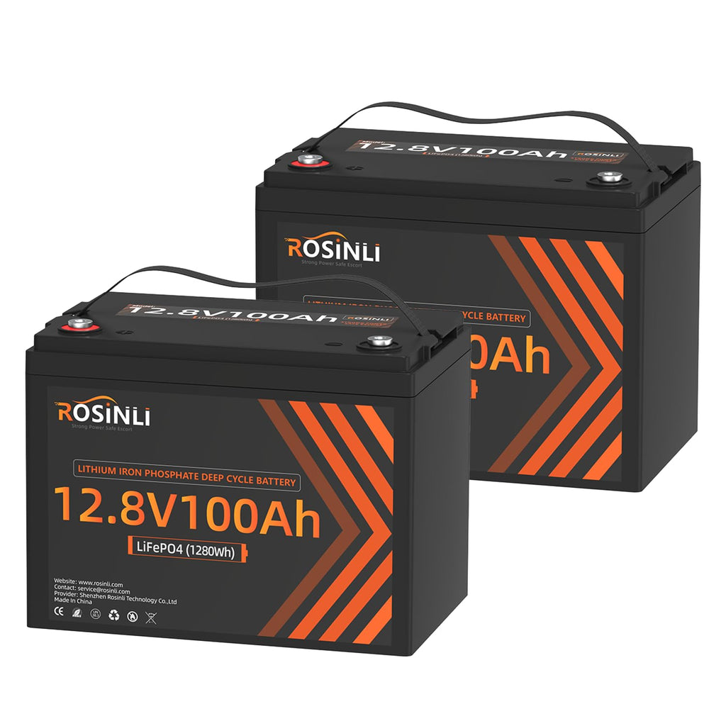 12V 100Ah LiFePO4 Battery 2Pack A202477