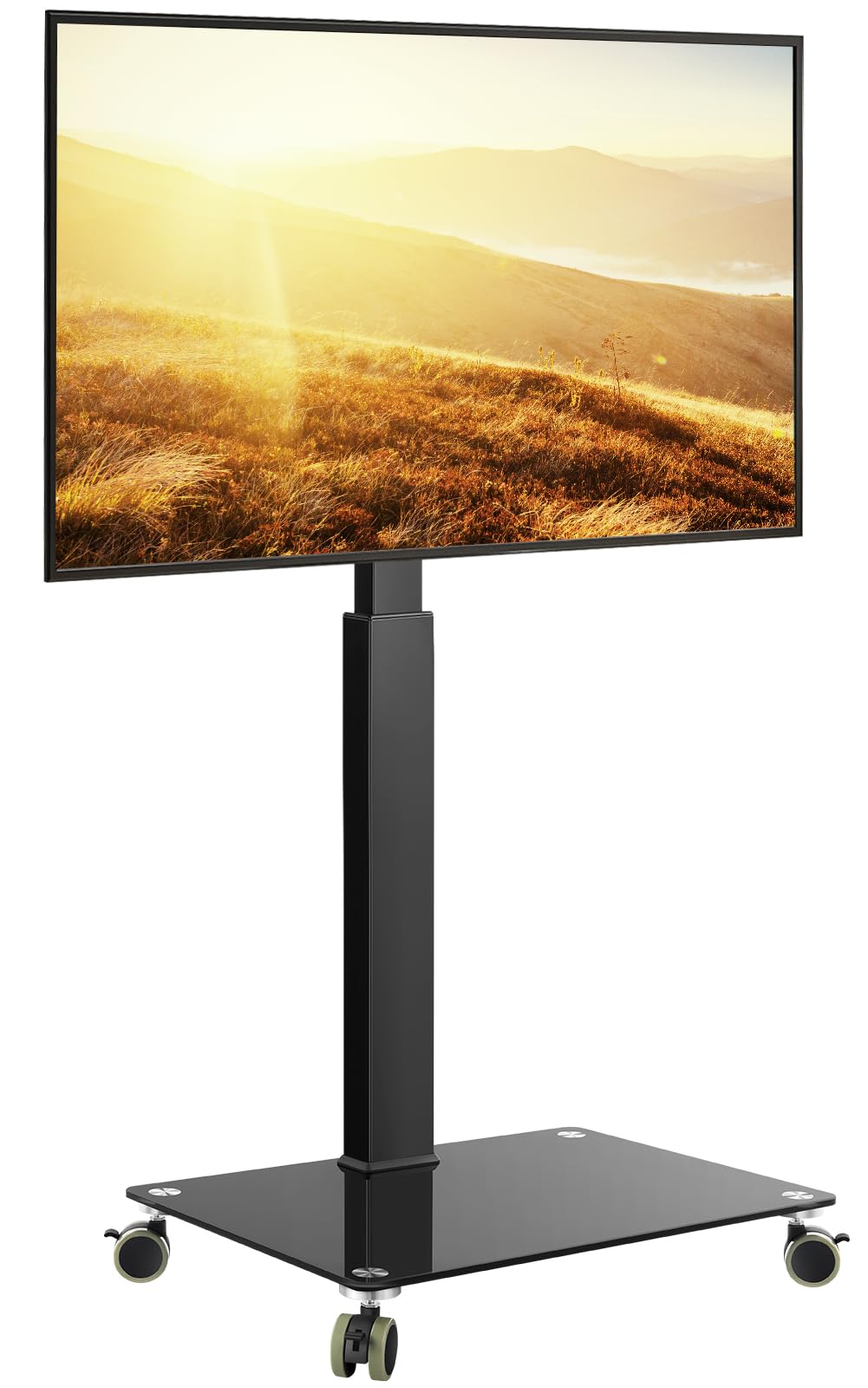 Rolling Floor TV Stand for 27-60 inch LED Screen with Mount N878