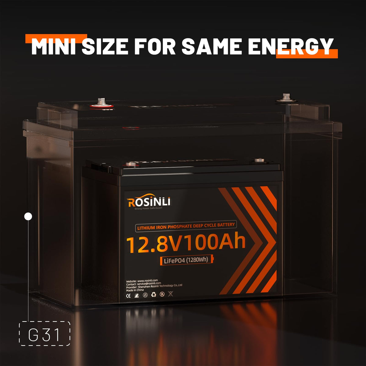 12V 100Ah LiFePO4 Battery 2Pack A202477