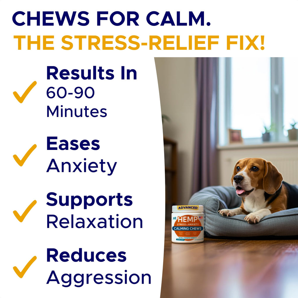 Calming Chews for Dogs 60Ct M70609