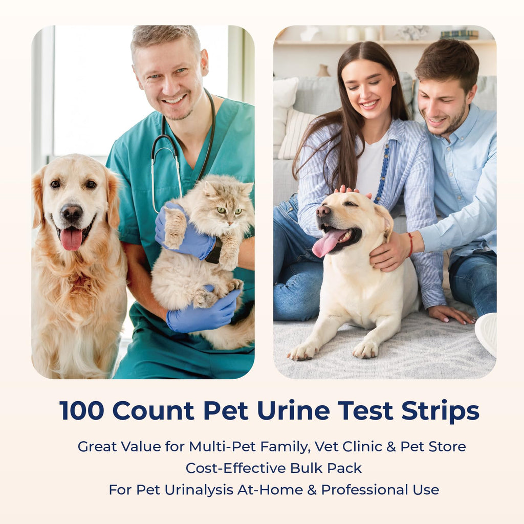 10 Parameter Urinalysis Test Strips 100ct N3670