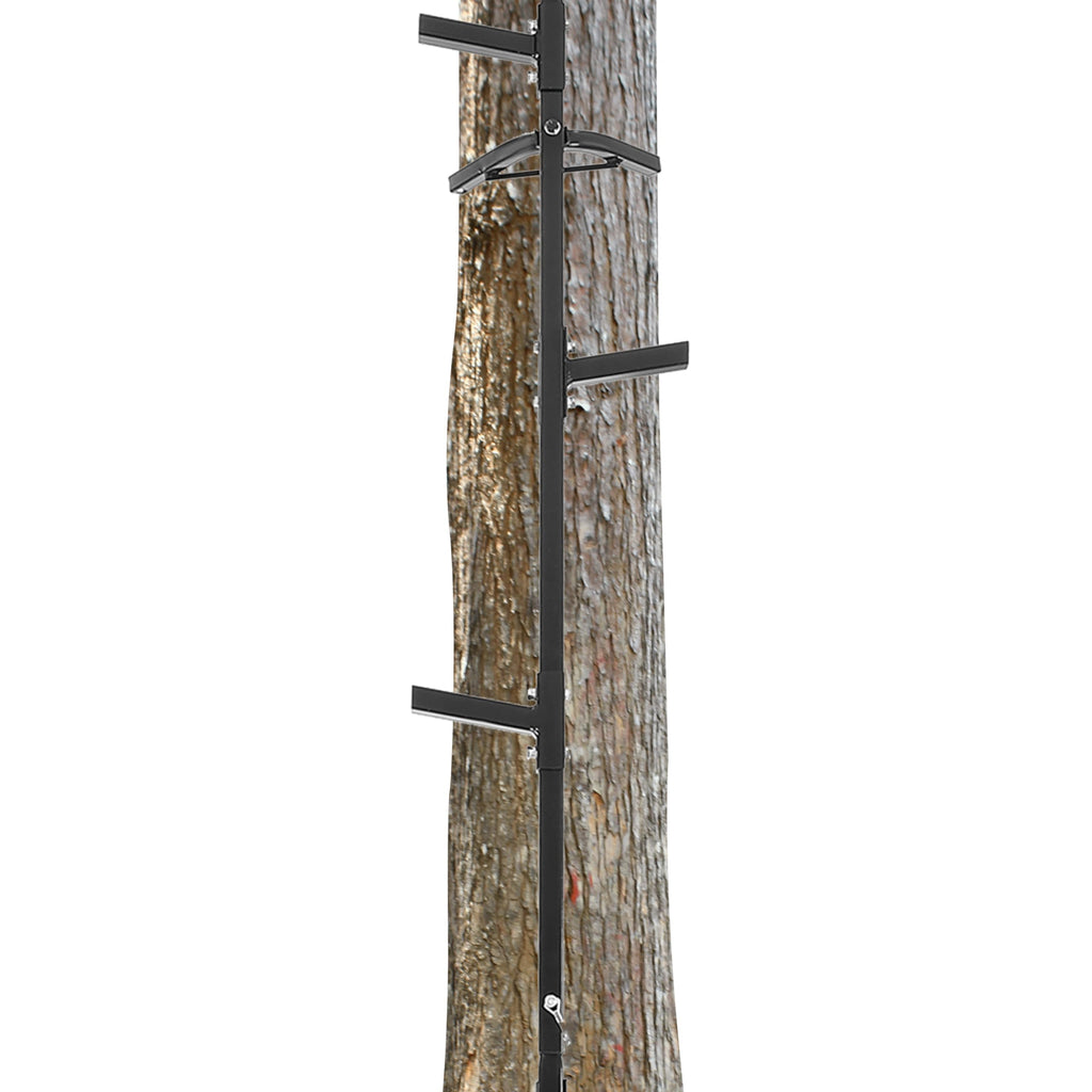 20 ft Climbing Stick Ladder G42661
