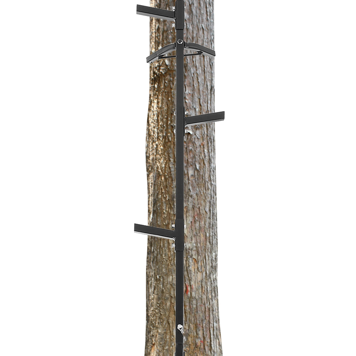 20 ft Climbing Stick Ladder G42661