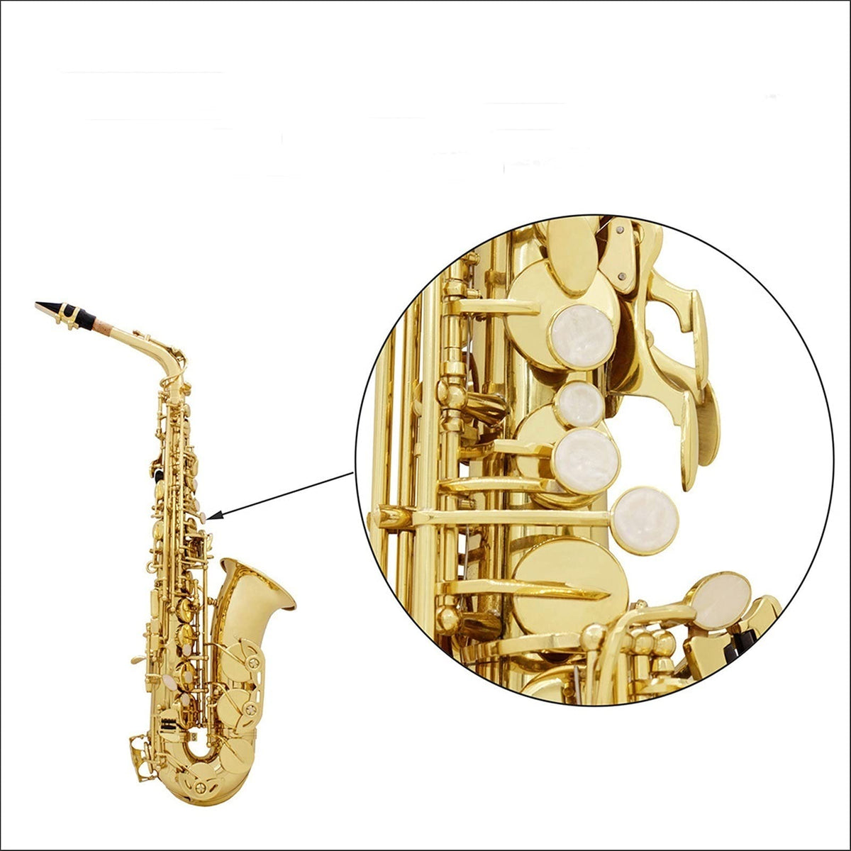 Golden E Flat Alto Saxophone Set U335980