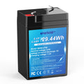 6.4V 4.6Ah LiFePO4 Battery Y64793