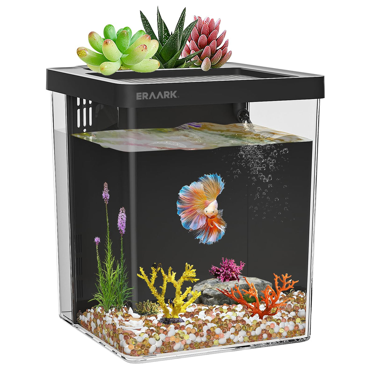 1.5 Gallon Betta Fish Tank Aquarium Kit with Filter LED Light V1971