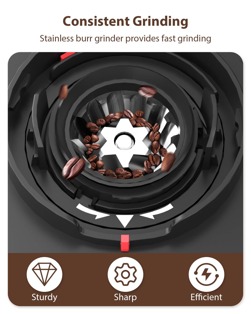 Black Burr Coffee Grinder D7767