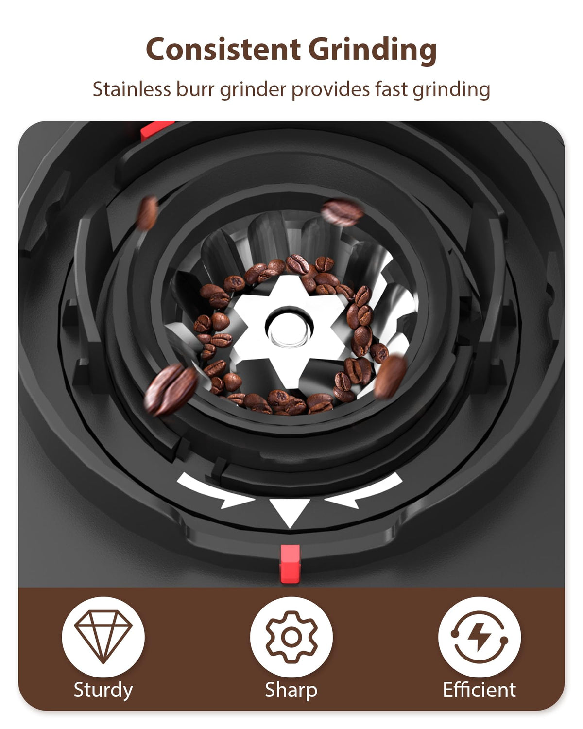 Black Burr Coffee Grinder D7767