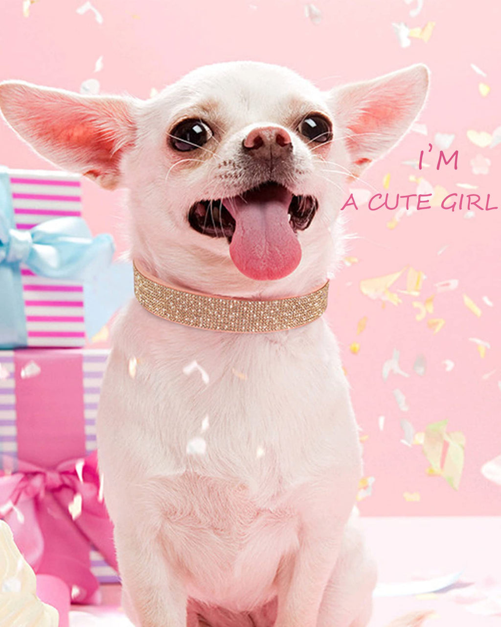 Pink Adjustable Leather Suede Rhinestone Dog Collar F35990
