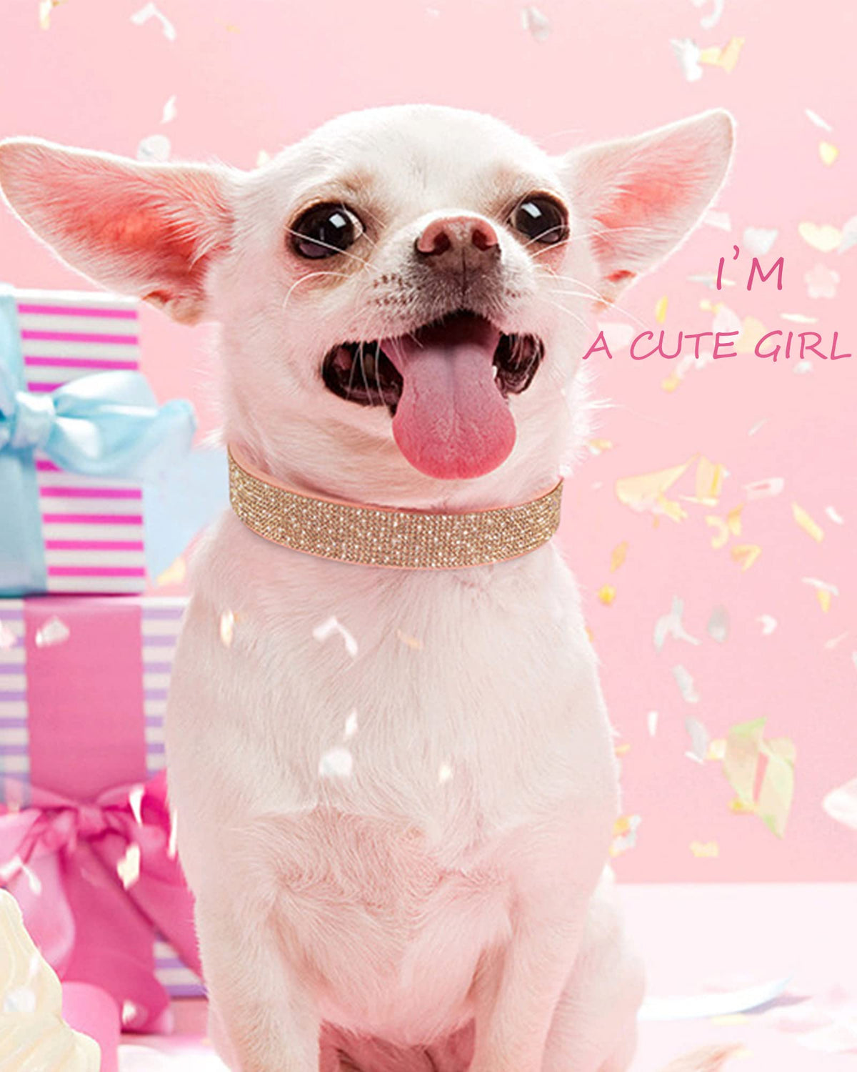 Pink Adjustable Leather Suede Rhinestone Dog Collar F35990