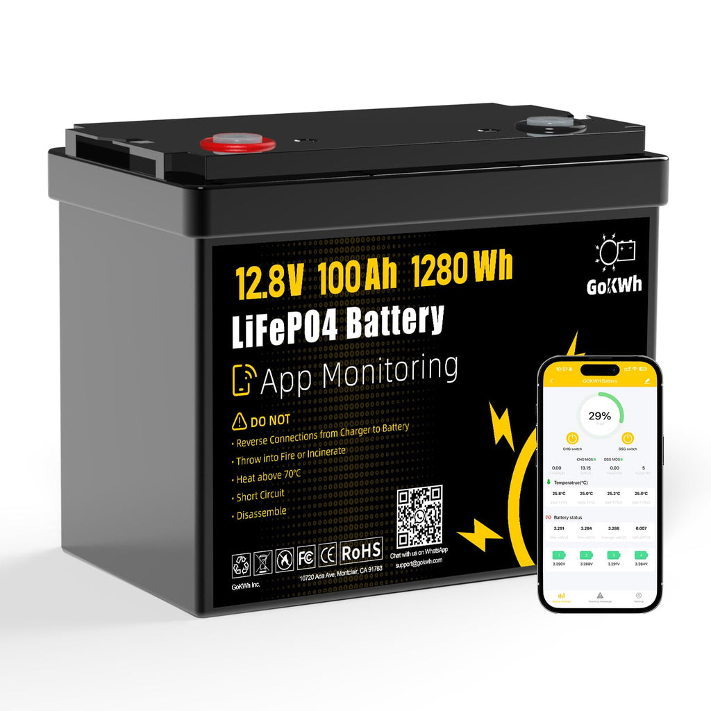 12V 100Ah LiFePO4 Lithium Battery O243