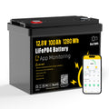 12V 100Ah LiFePO4 Lithium Battery O243