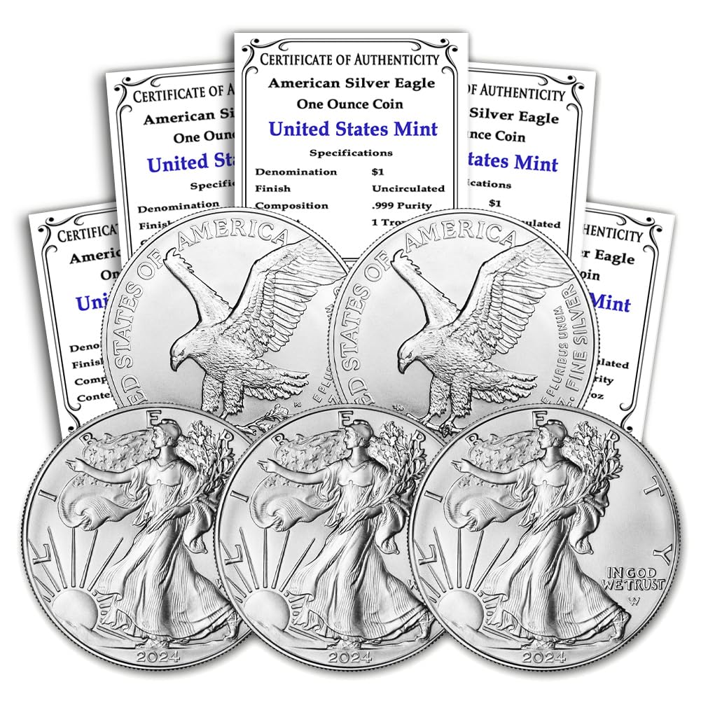 1 oz American Silver Eagle Coins O7870