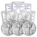 1 oz American Silver Eagle Coins O7870