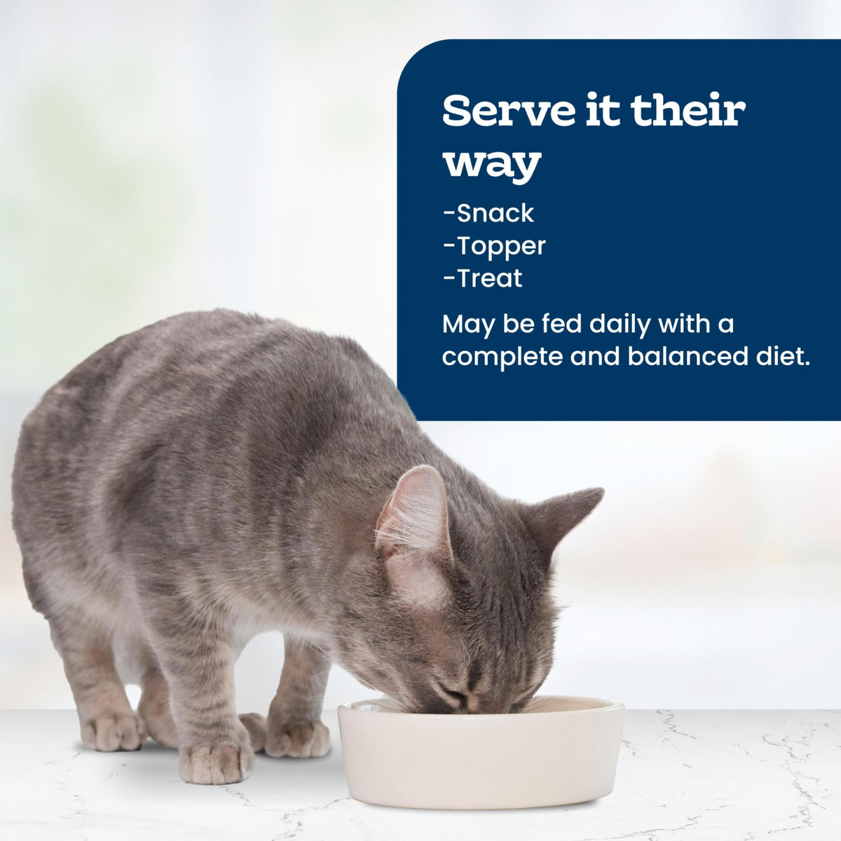 Cat Food Topper, 3 Ounce (Pack of 24) A65483