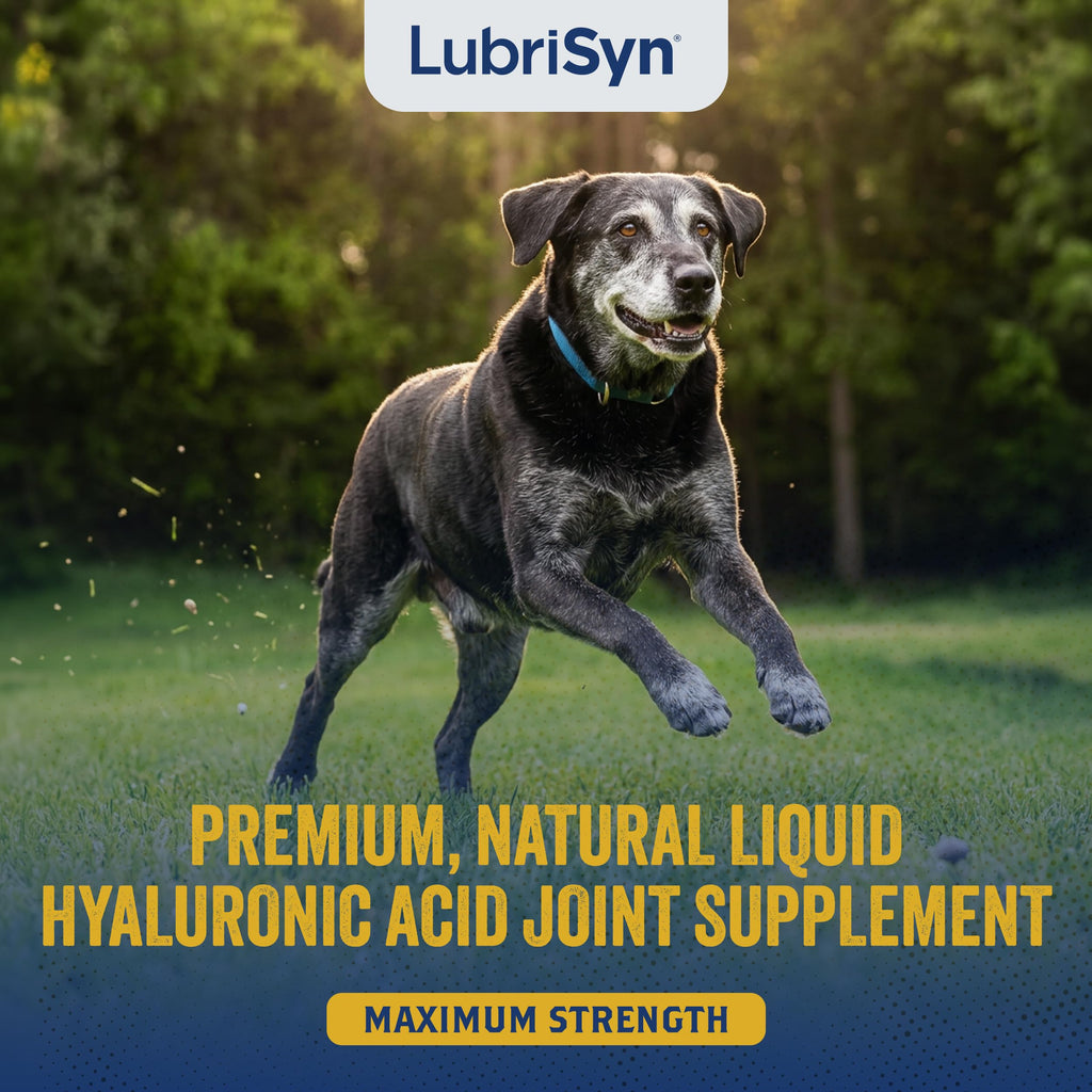 Hyaluronic Acid Hip & Joint Supplement for Dogs & Cats, 16 oz F116214