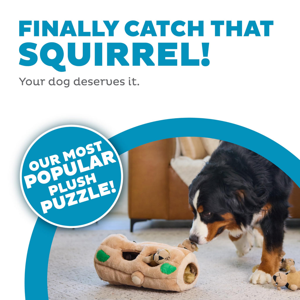 Plush Squeaky Dog Toy Z82939