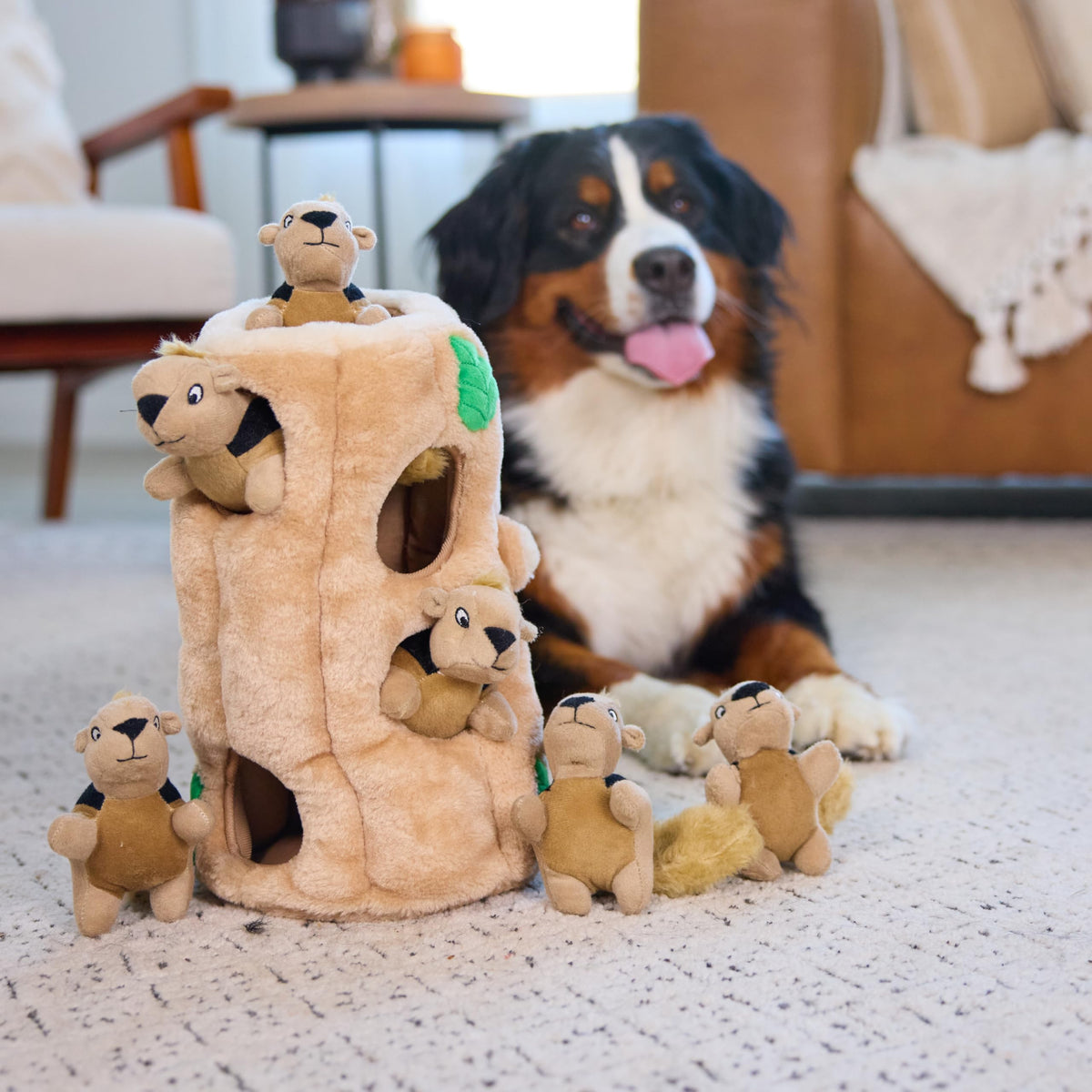 Plush Squeaky Dog Toy Z82939
