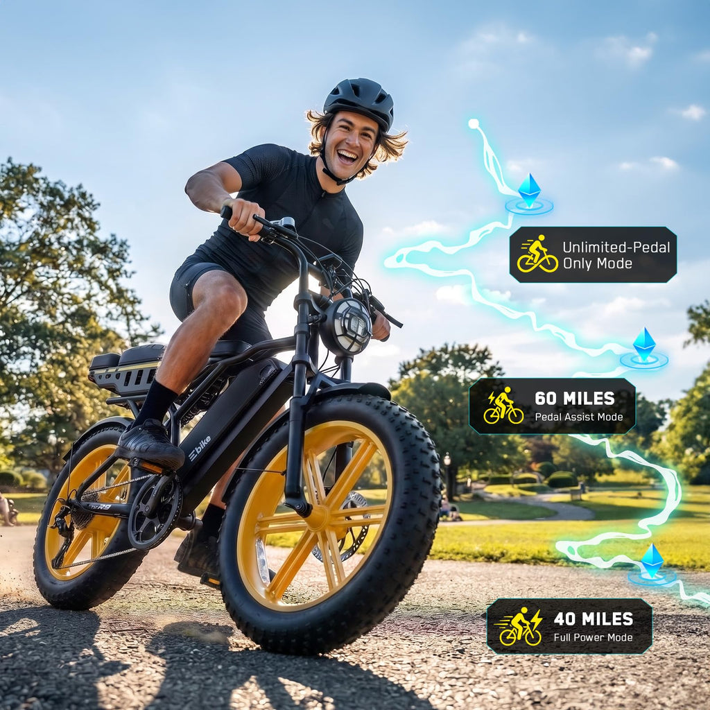 48V 2000W Peak Motor 20 * 4.0 Fat Tire Electric Bike G543