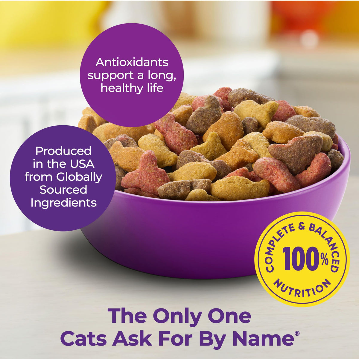 Dry Cat Food 6.3 Pound and Wet Cat Food Variety Pack 2.75 Ounce (Pack of 24) Q4740