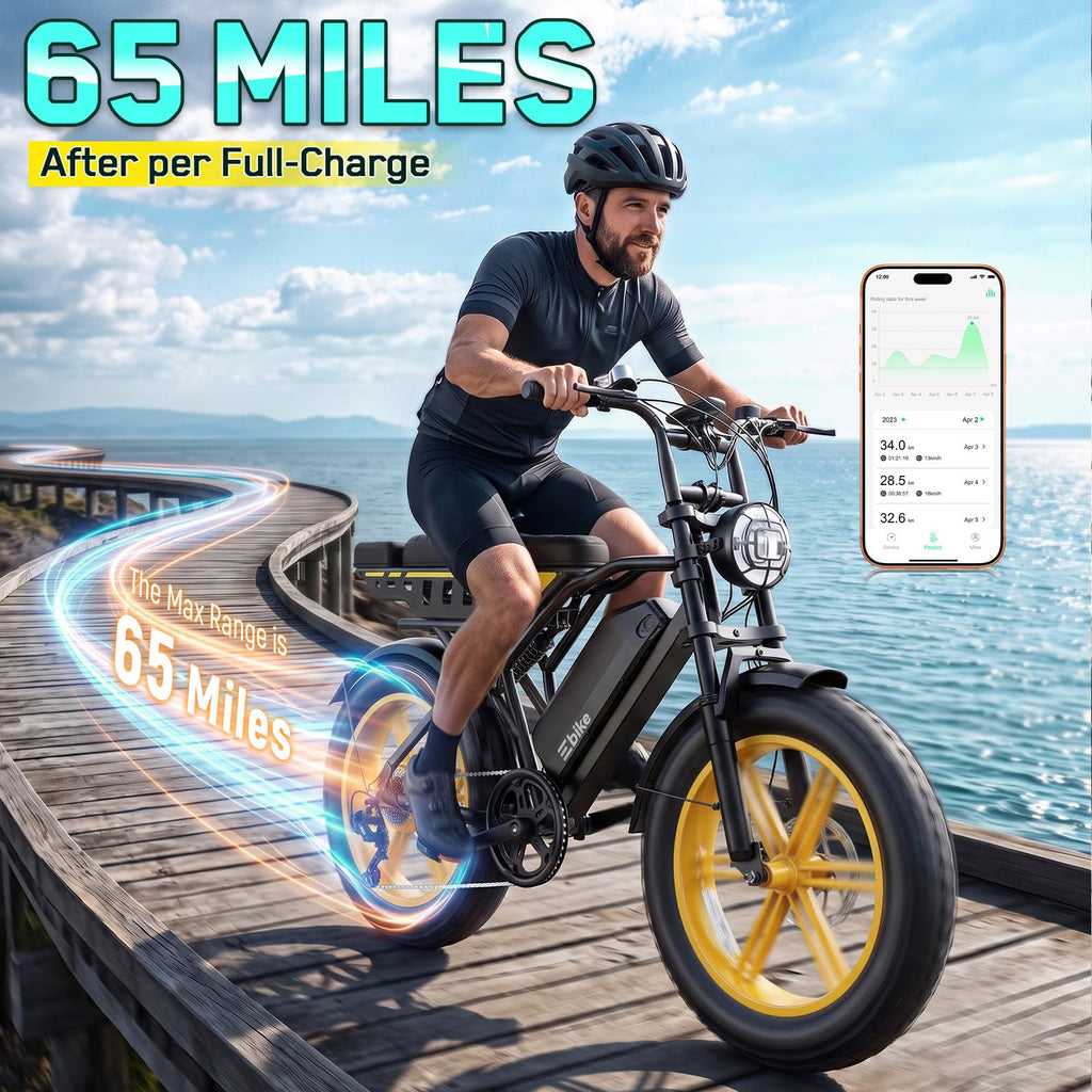 48V 2000W Peak Motor 20 * 4.0 Fat Tire Electric Bike G543