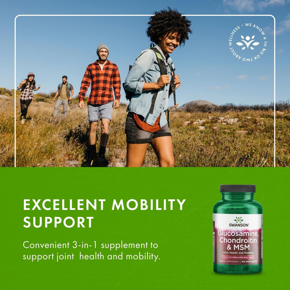 Glucosamine, Chondroitin & MSM 360 Mini-Tablets R421