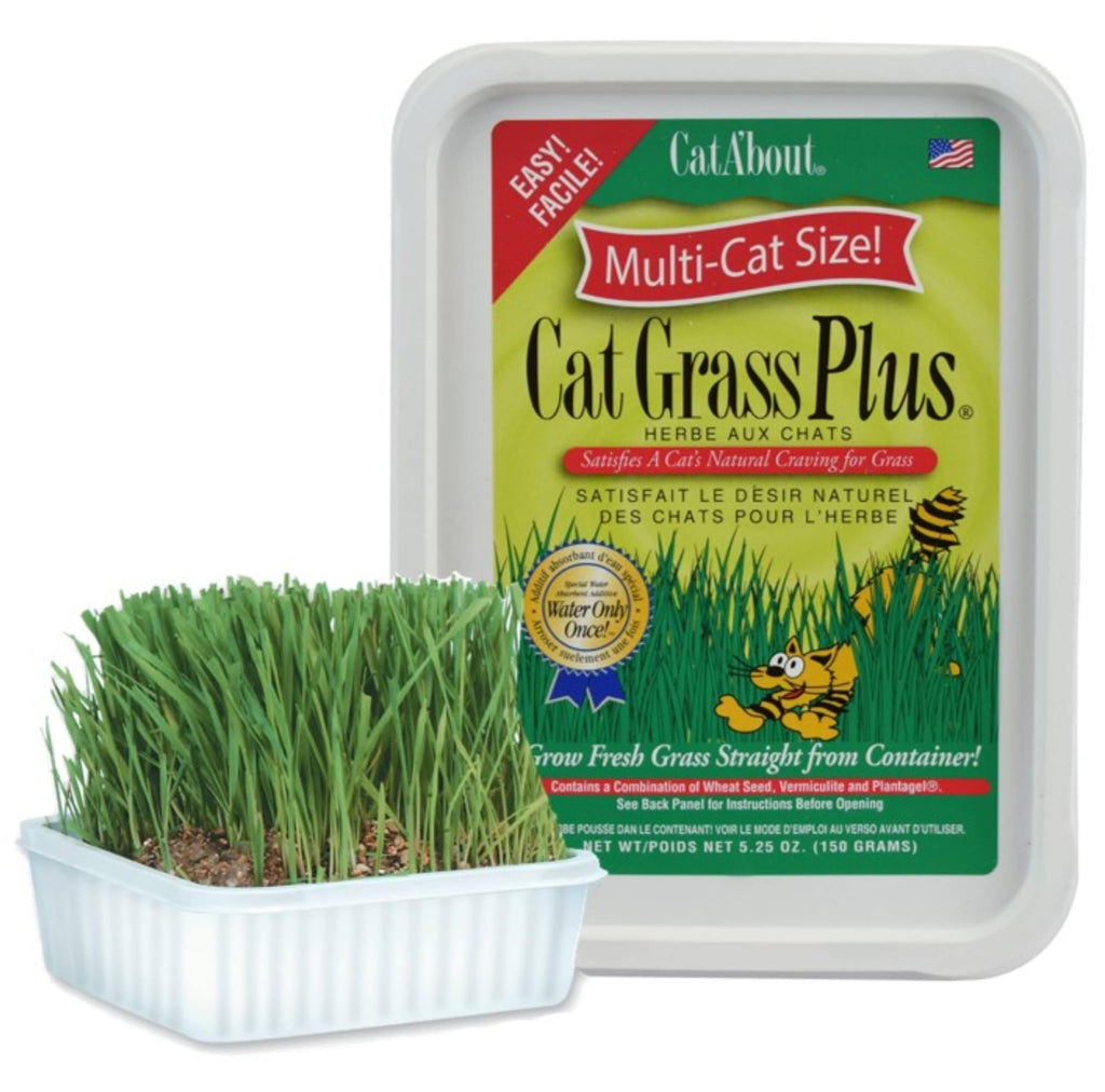 Cat Grass Kit E674